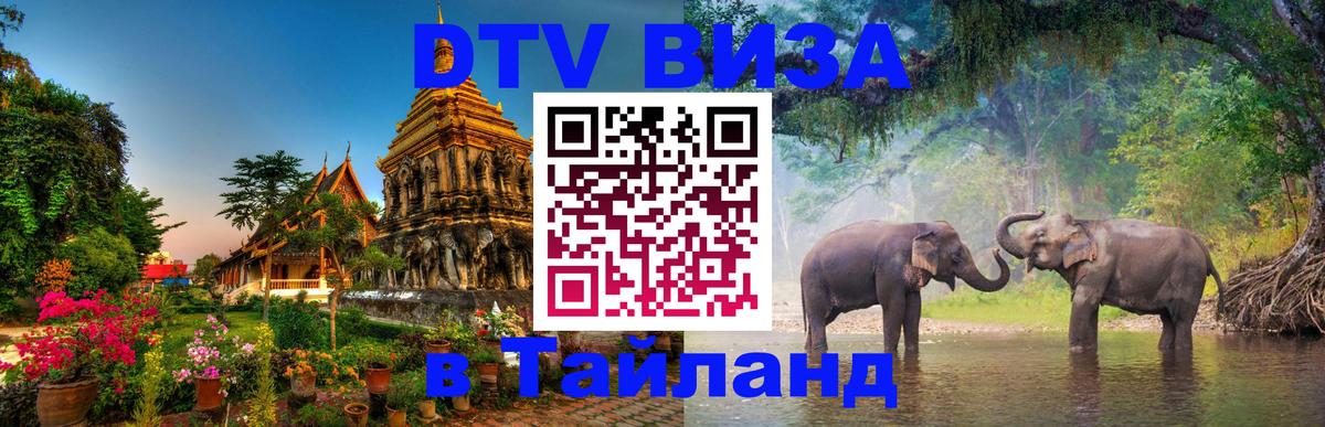Купить DTV визу в Таиланд 
